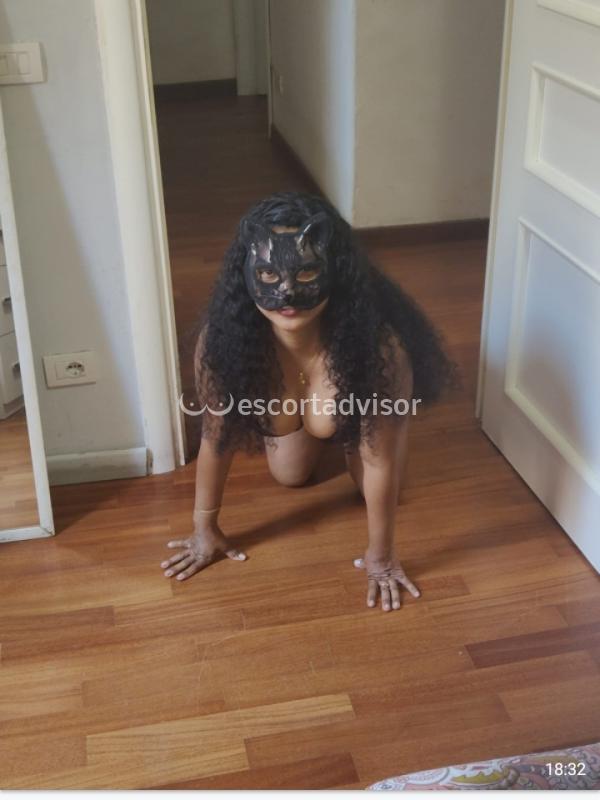 Escort 3278045131