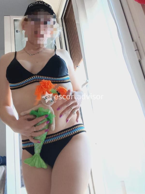 Escort 3791588528