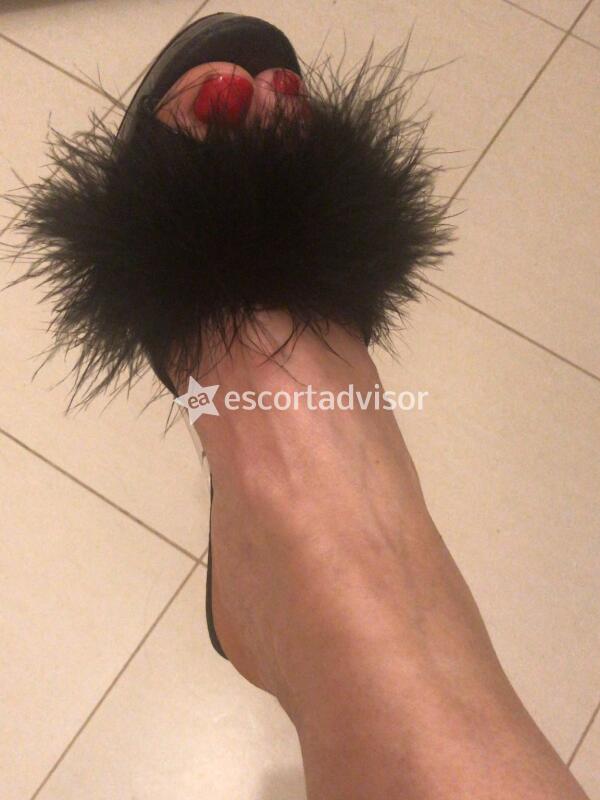 Escort 3472932007