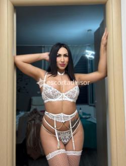 Trans 3381745029 Mara