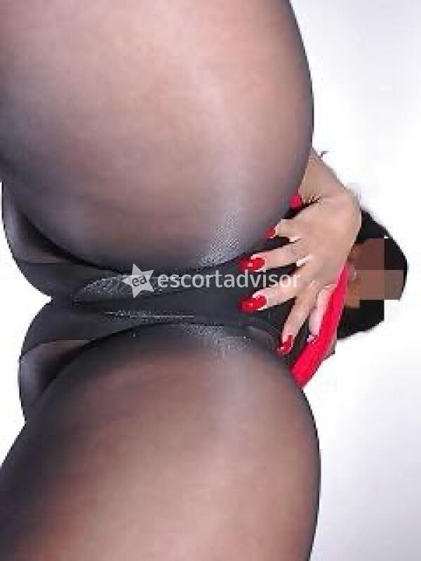 Escort 3332514703