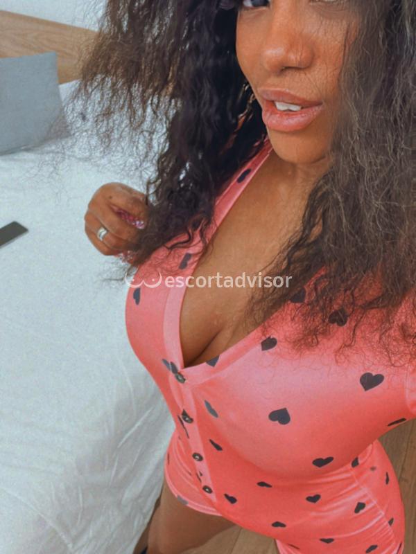 Escort 3245613885