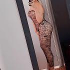 Norka-2142745