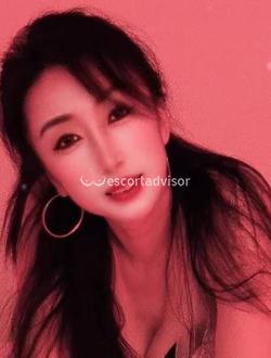 Escort 3929759757 Kite