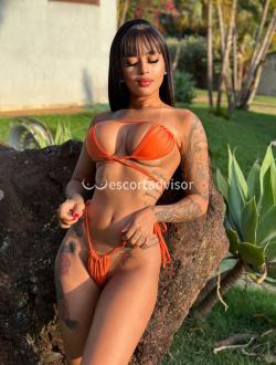 Escort 3391559291 Rhafaella