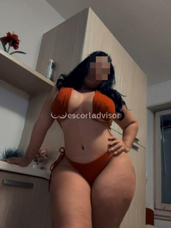 Escort 3508100463
