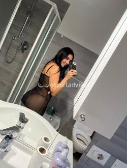Escort 3510196017 Nicoll