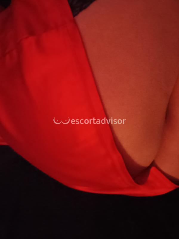 Escort 3493470524