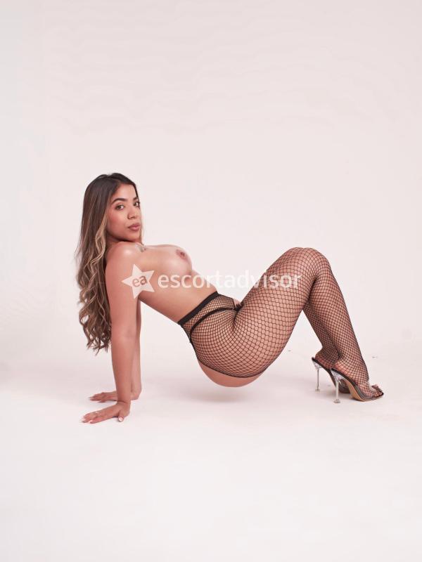 Escort 3927455257