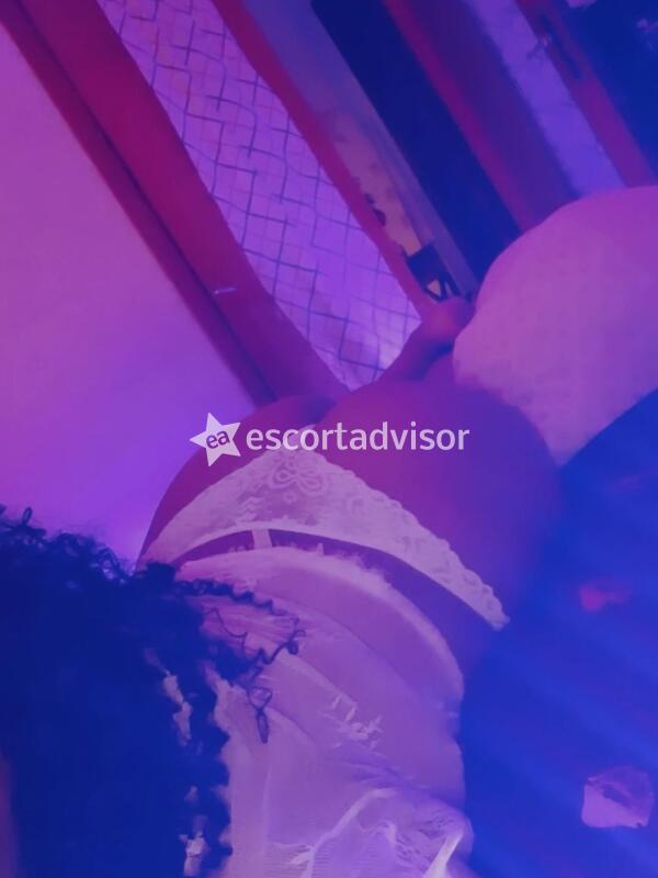 Escort 3883858741