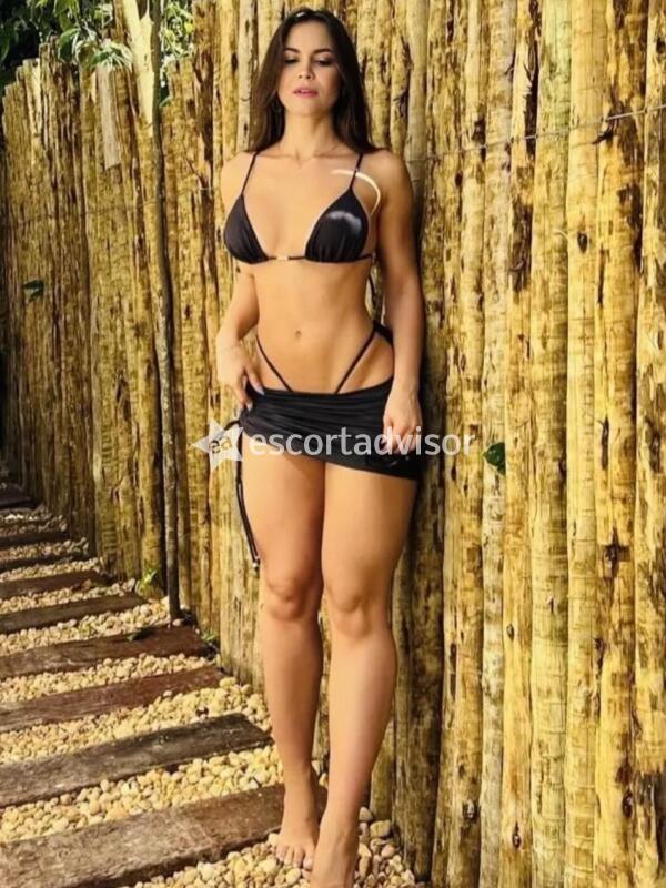 Escort 3508033948