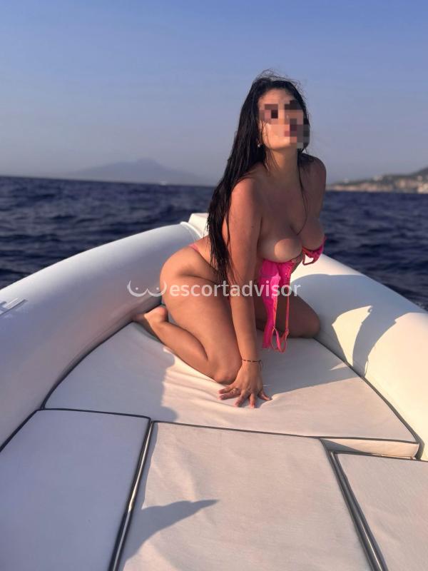 Escort 3793112325