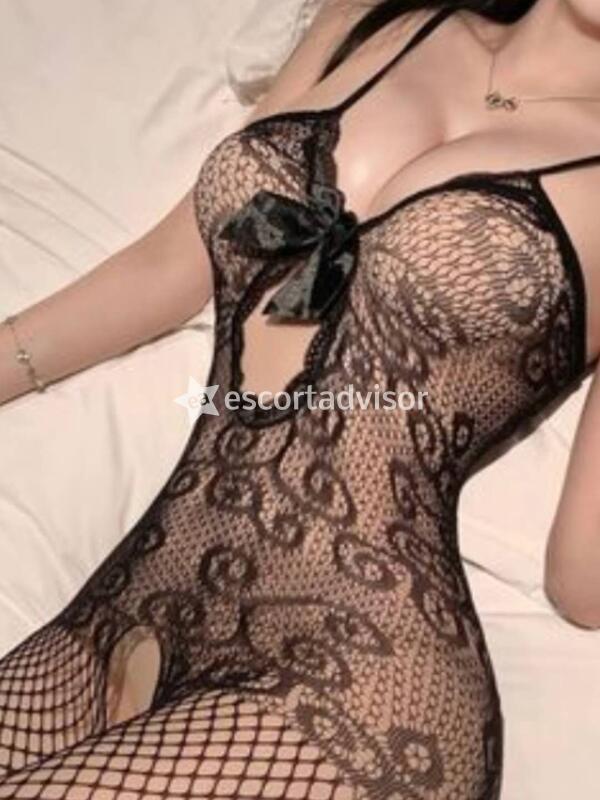 Escort 3381122361