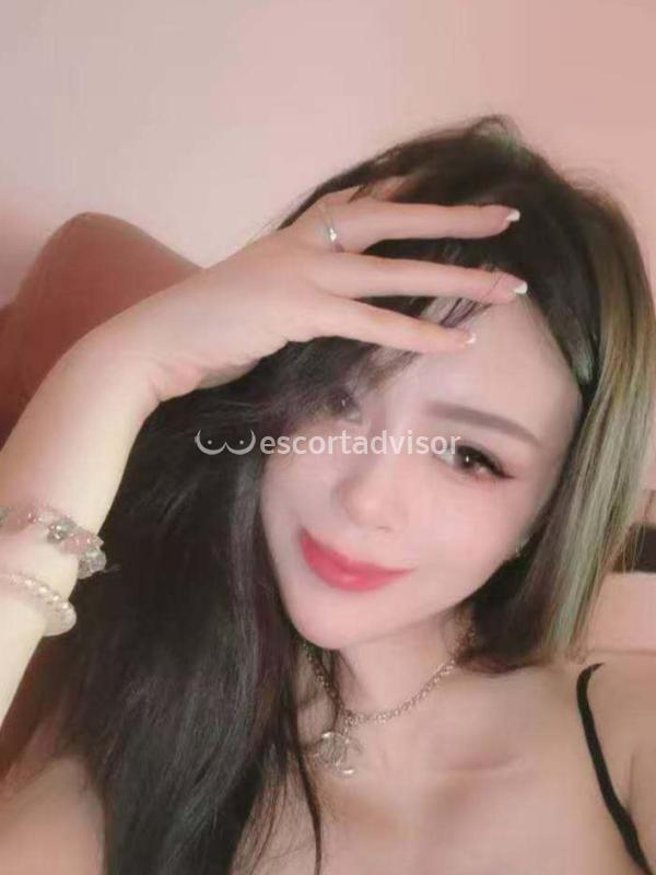 Escort 3801590678