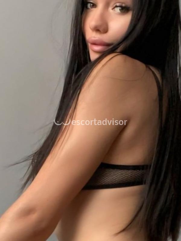 Escort 3923468822