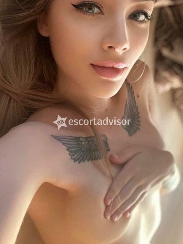 Escort 3512242613