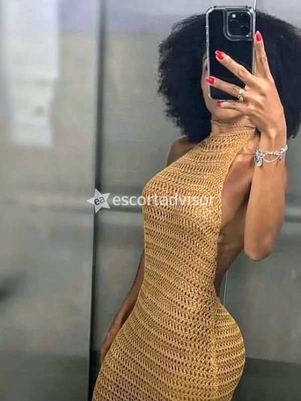 Escort 3444400648