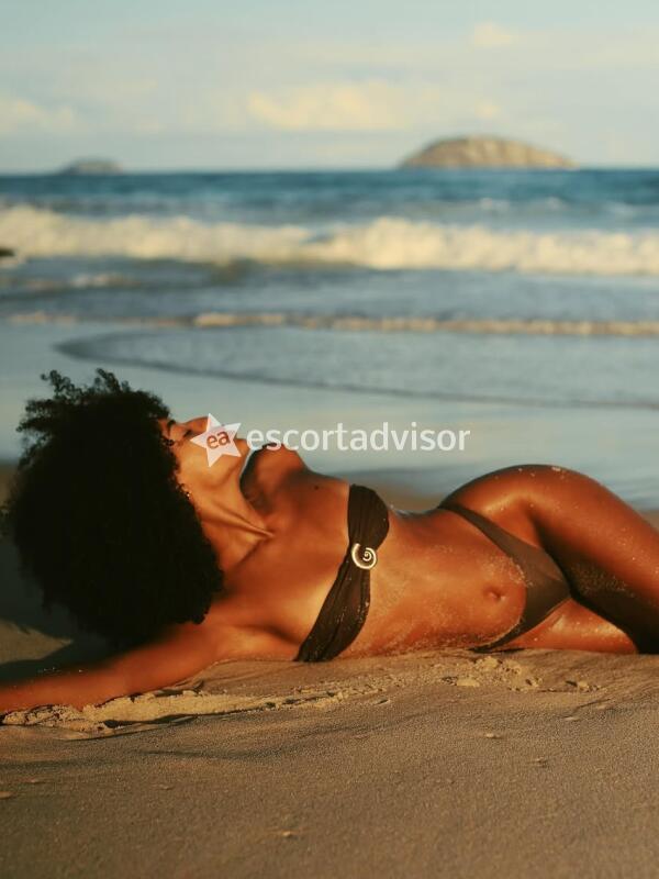 Escort 3444400648