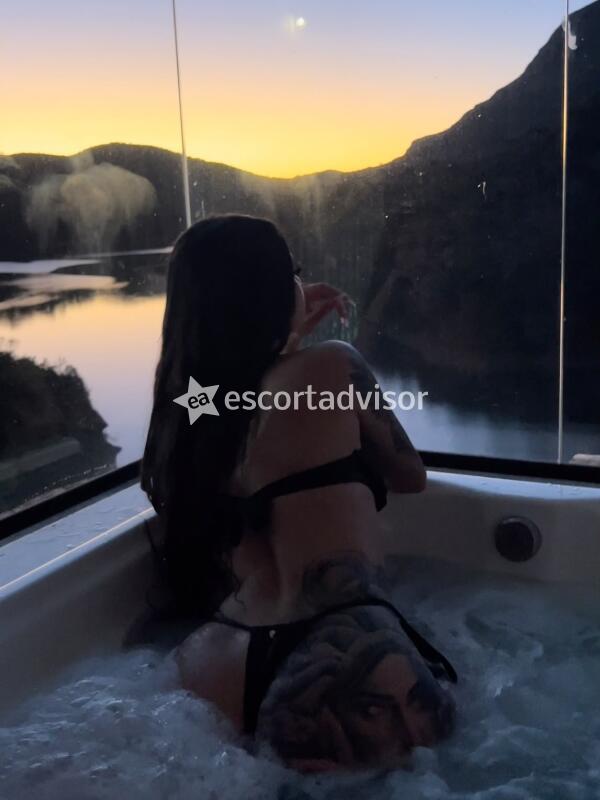 Escort 3312481235