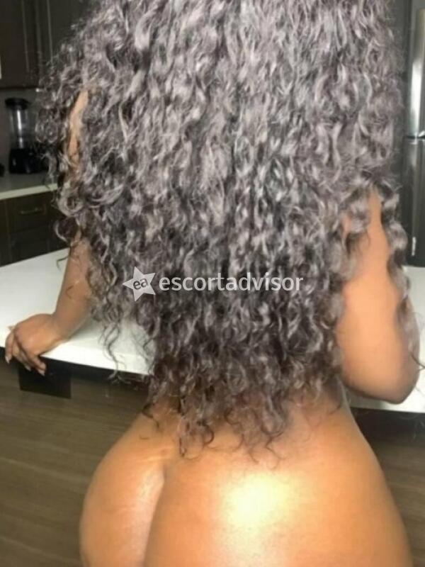 Escort 3517875474