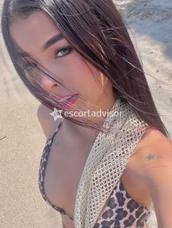 Escort 3931090243 Daniela