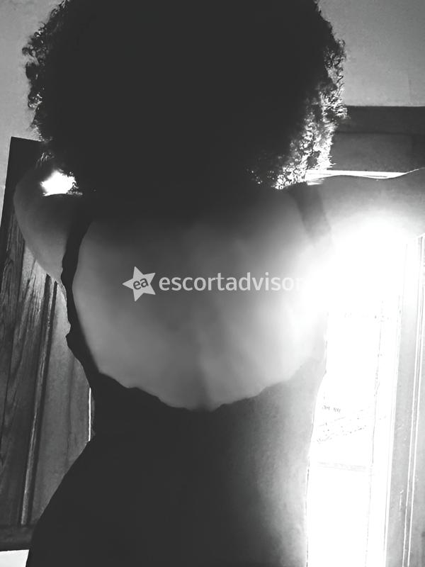 Escort 691630816