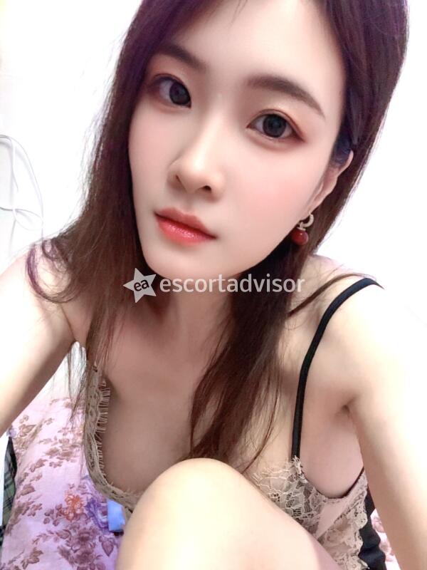 Escort 3383259601