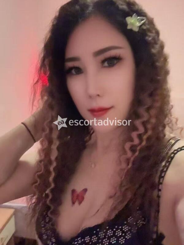 Escort 3922462331