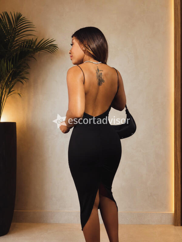 Escort 3313111025