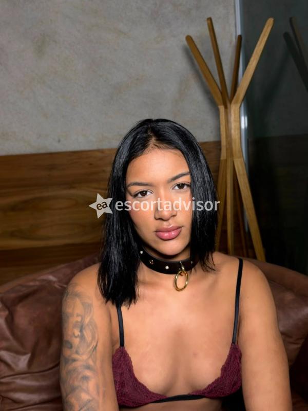 Escort 3930177147