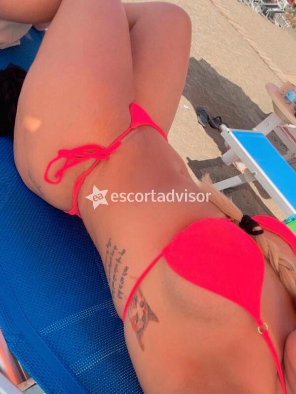 Escort 3388313348
