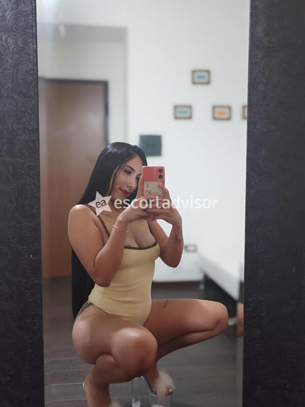 Escort 3315001911