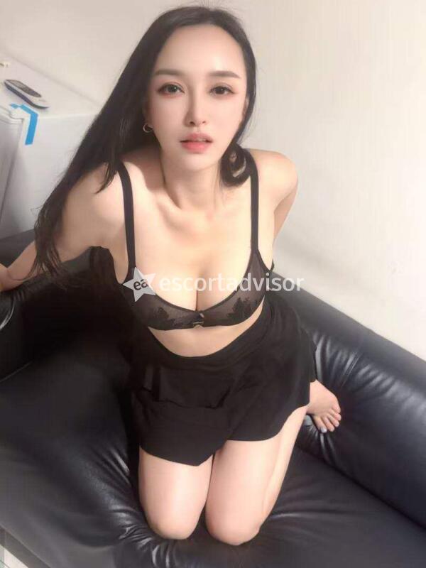 Escort 3242235006