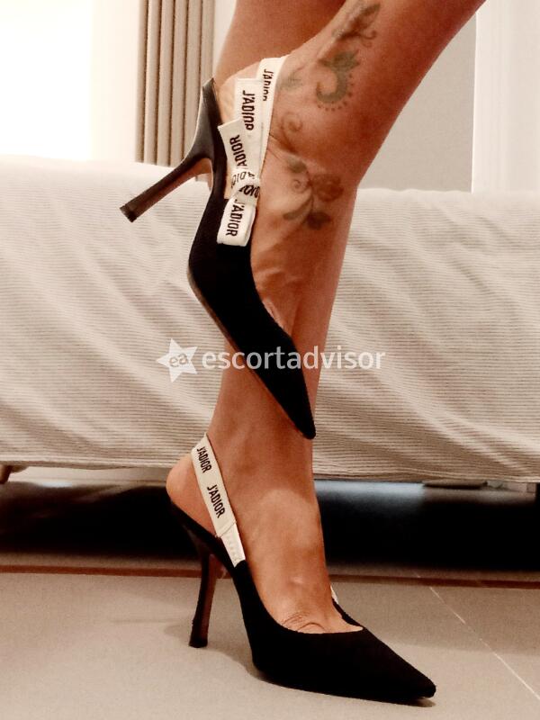 Escort 3319711392