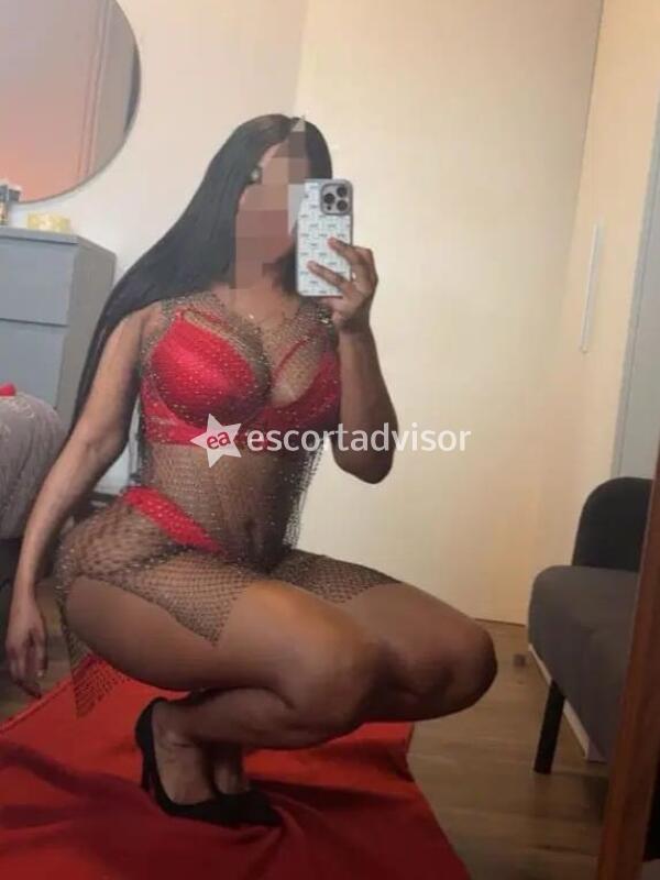 Escort 3930118452