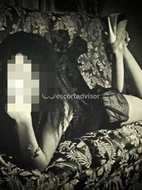 Escort 3516102299