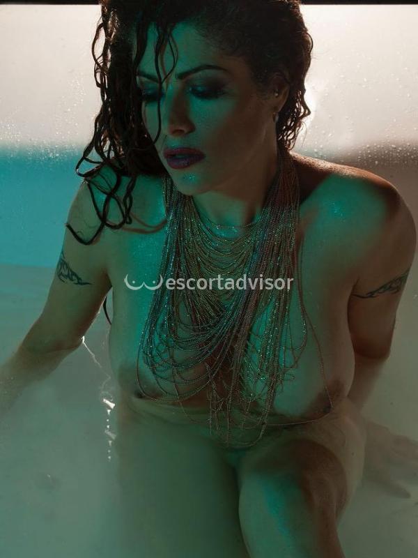 Escort 3398493042