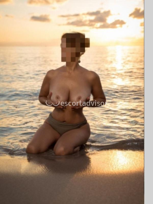 Escort 3703661056