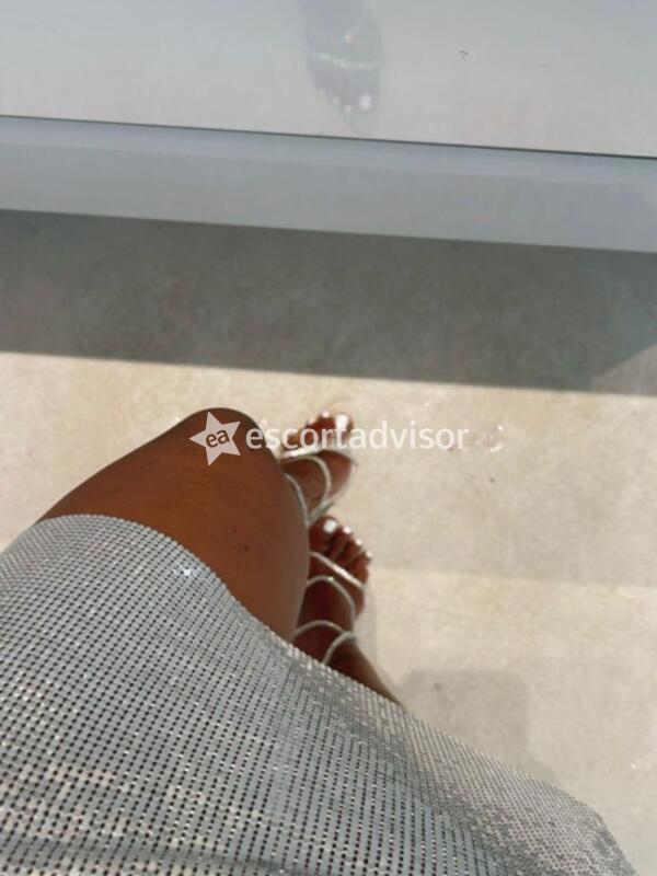 Escort 3335704319