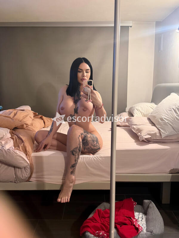 Trans 3807650574