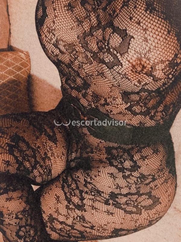 Escort 3801527314