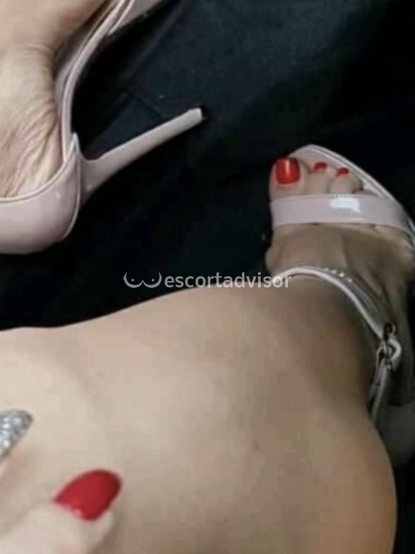 Escort 3478060083