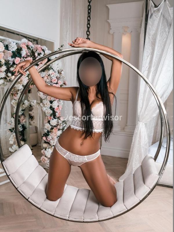 Escort 3453591804