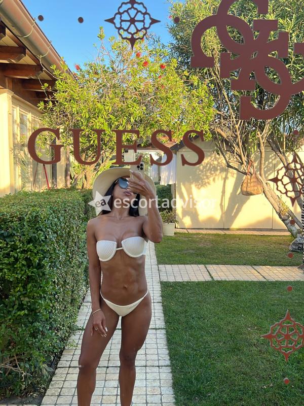 Escort 3501621053