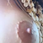 Manuela Portoghese-1489543
