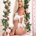 Angel Brasil-2102383