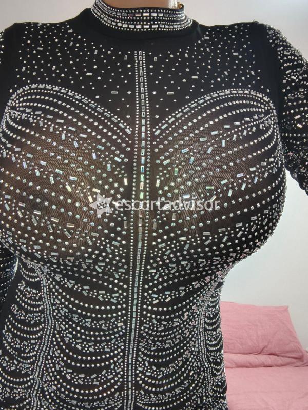 Escort 3662683717