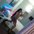 Pamelita -1525885