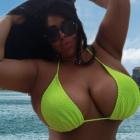 Nicol-1857065