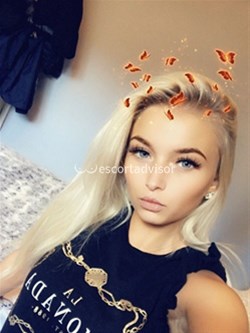 Escort 07542375226